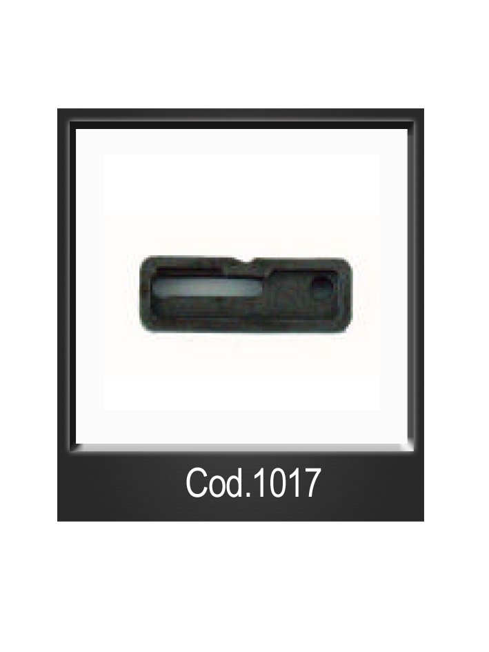 cod.1017.png